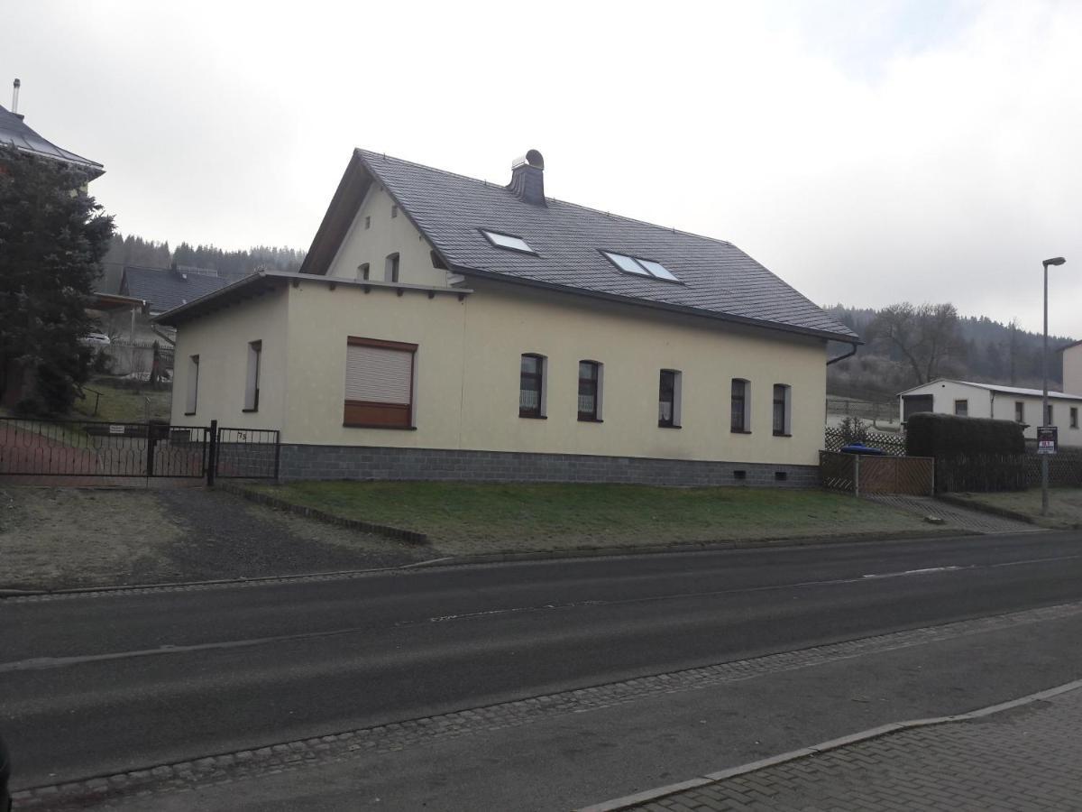 Ferienwohnung Doehlerwald Klingenthal Eksteriør bilde
