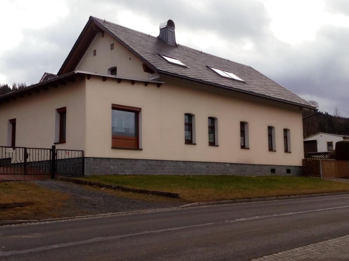 Ferienwohnung Doehlerwald Klingenthal Eksteriør bilde